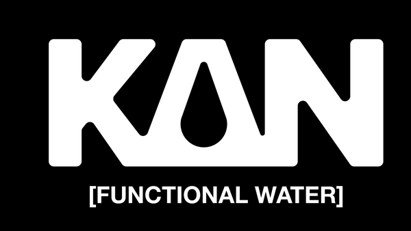 KAN FUNCTIONAL